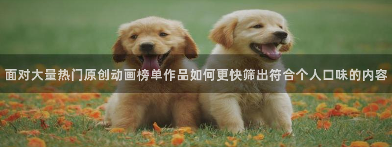 最新动漫排行