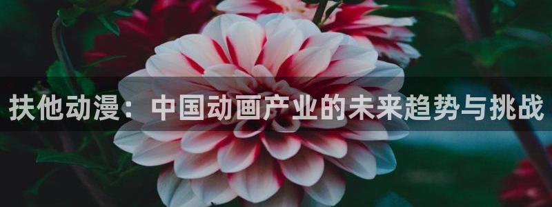 国产动画推荐