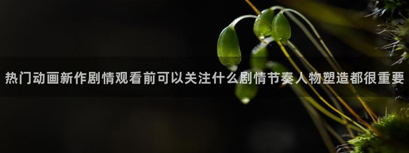 动漫新番榜