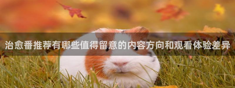 动漫热门话题