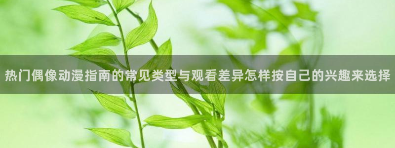 经典动画推荐