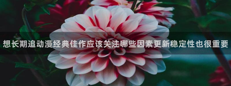 怀旧动漫