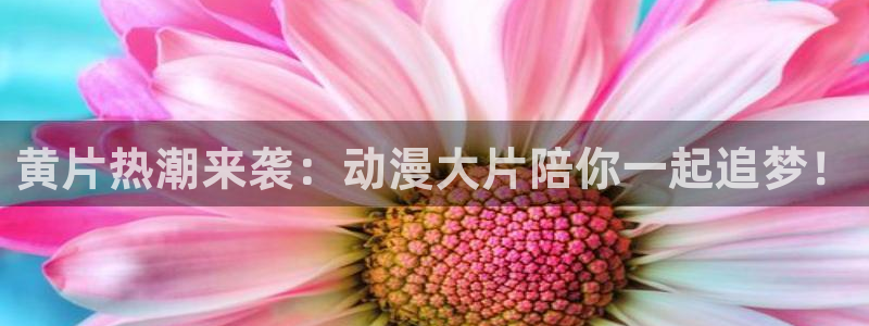 动漫热门推荐
