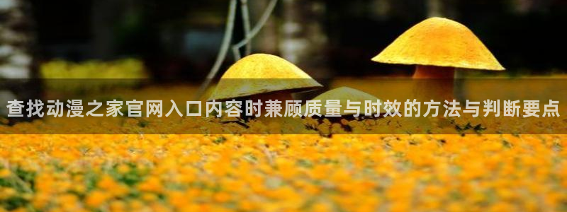 完结动漫