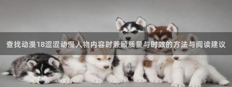 动漫网站导航