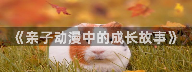 动漫作品查询