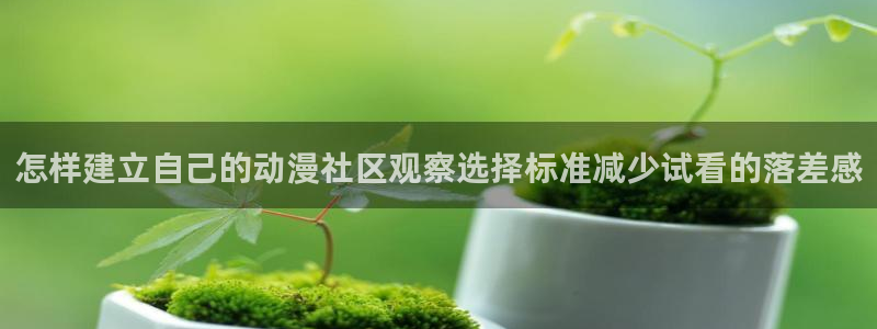 新番动画