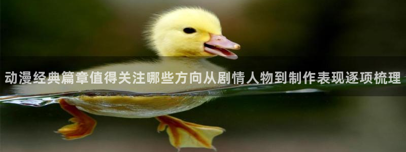 最新新番动画