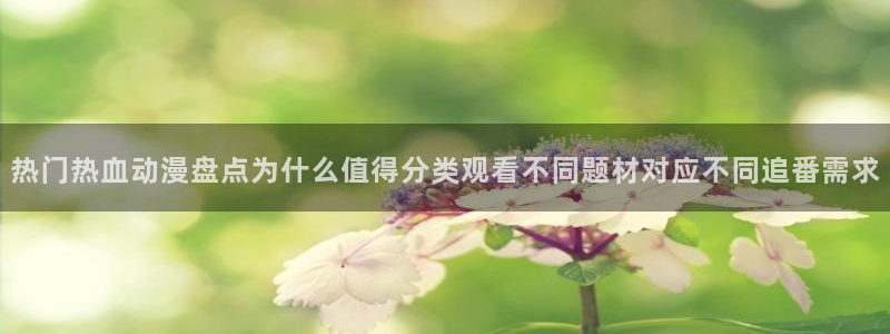 热门连载动漫