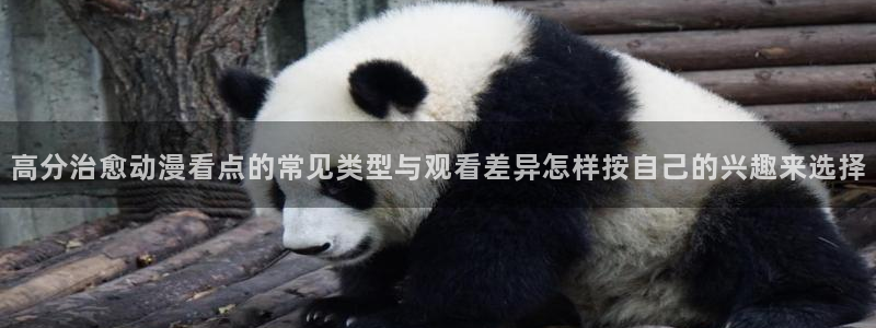 热门连载动漫